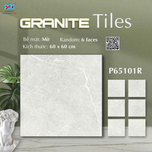 Ý Mỹ P 65101 R
